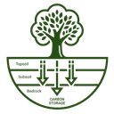 Carbon Trading & Economics