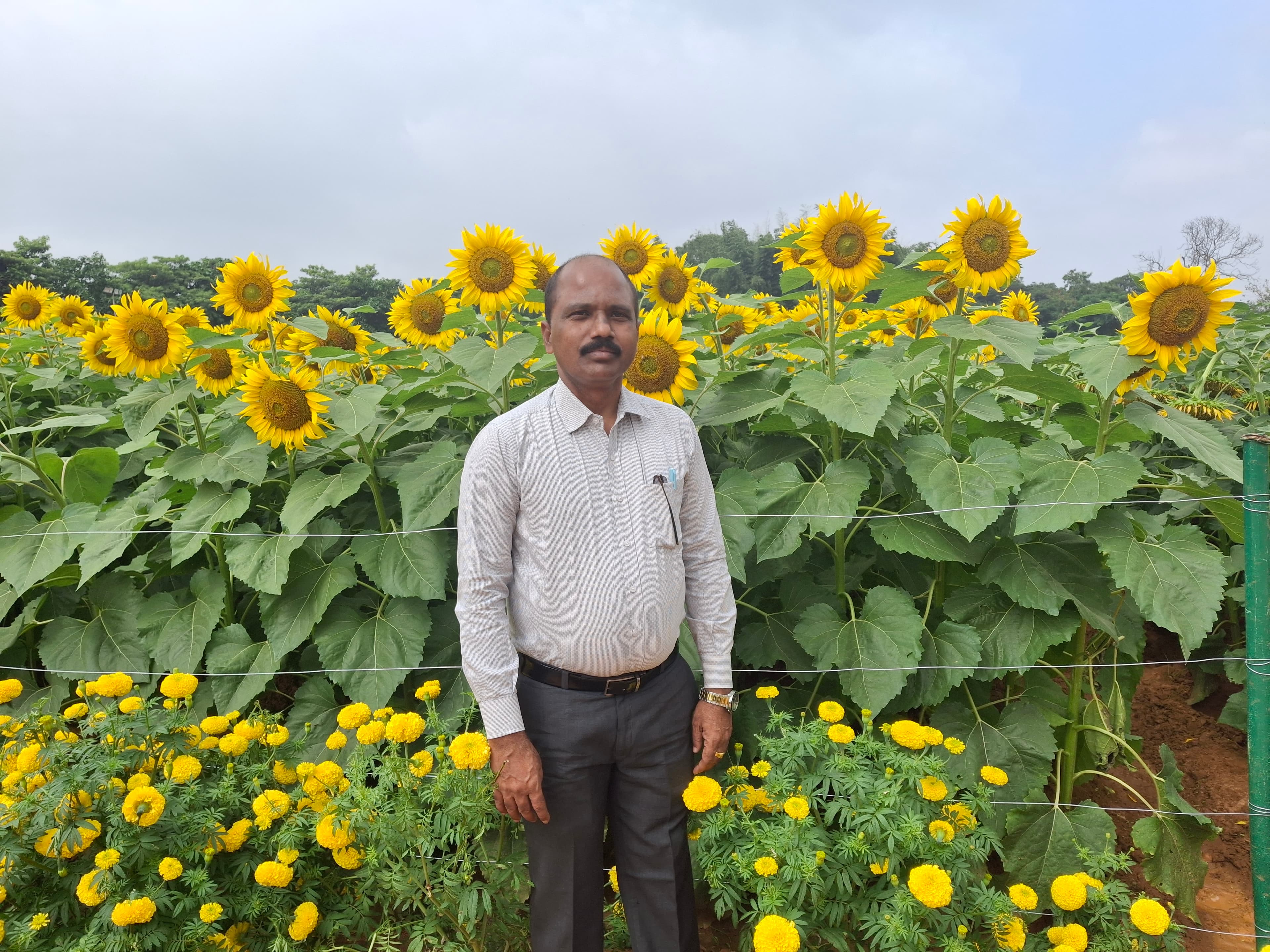 Dr. Boraiah B at RIOF organic research block, GKVK Campus
