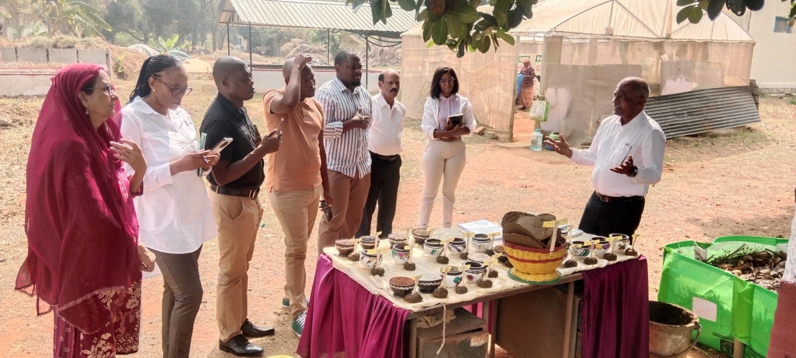 International collaboration with Nigerian professionals