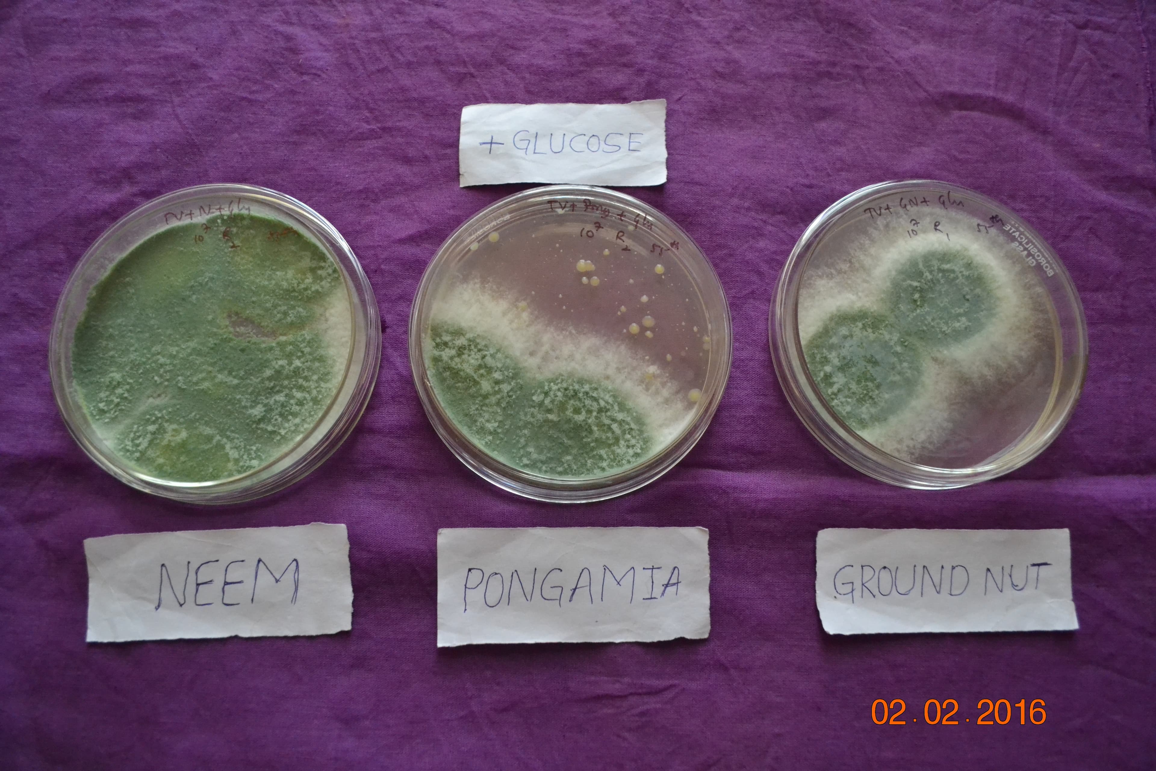 Soil sample analysis in RIOF laboratory